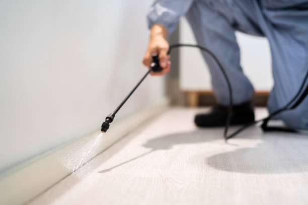 Certified termite inspector examining foundation in Kent Estates