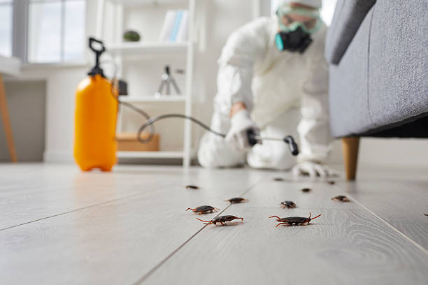 Commercial Kitchen Cockroach Control in Kent Estates